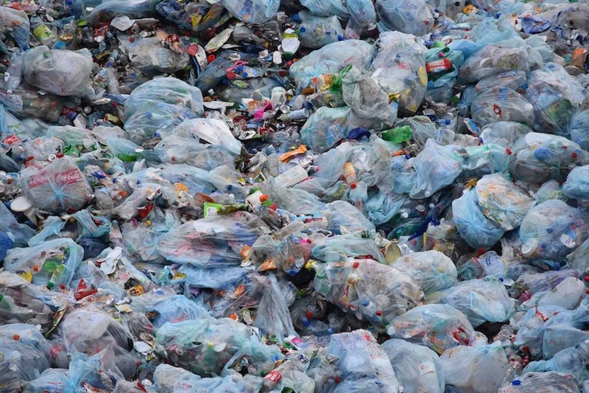 Community members participating in plastic waste cleanup